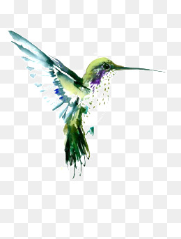 260x343 Hummingbird Clipart Free Download