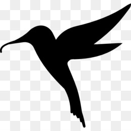 260x260 Hummingbird Drawing Png Free Download