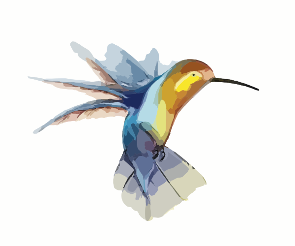 600x500 Hummingbird Vector Art Images