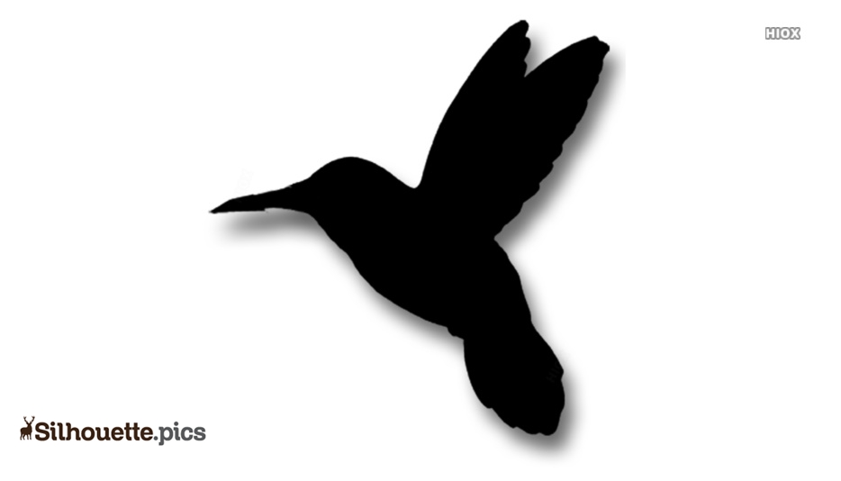 934x534 Hummingbird Vector Silhouette Free Vector Art Silhouette Pics