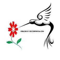 230x230 Hummingbird Free Vectors Downloads Found