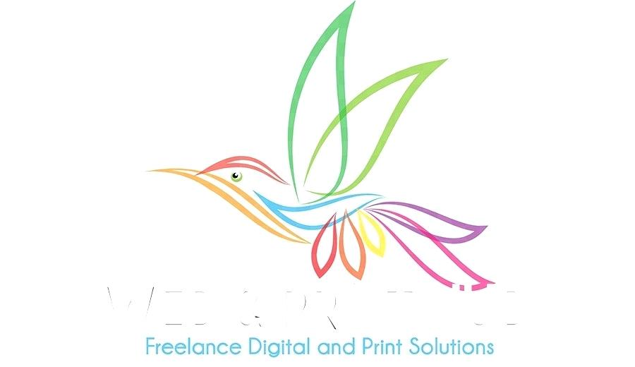 900x520 Hummingbird Graphic