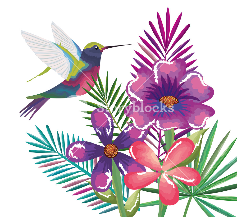 1000x915 Tropical And Exotic Garden With Hummingbird Vector Illustration