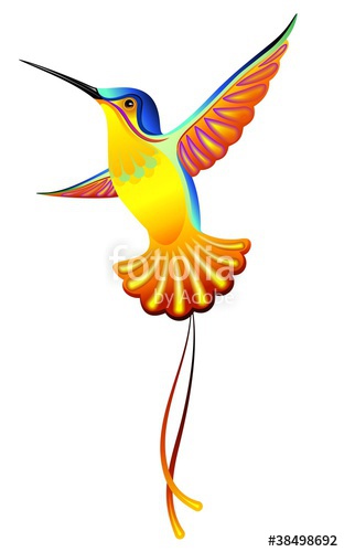 312x500 Colibri Hummingbird Vector Stock Image And Royalty Free Vector