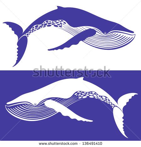 450x470 Humpback Whale Stock Vectors Vector Clip Art Shutterstock