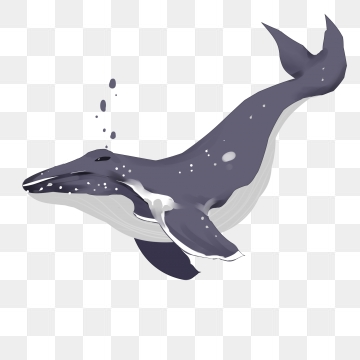 360x360 Humpback Whales Png, Vector, And Clipart With Transparent