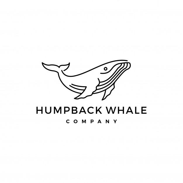 626x626 Humpback Whale Logo Icon Vector Illustration Vector Premium Download