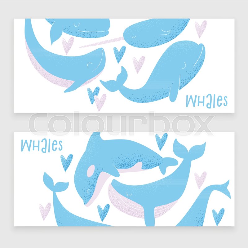 800x800 Vector Card With Blue Whale, Sperm Stock Vector Colourbox