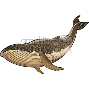 300x300 Humpback Whale Clipart Royalty Free Gif, Png