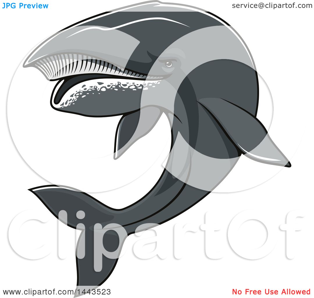 1080x1024 Clipart Of A Tough Humpback Whale Mascot