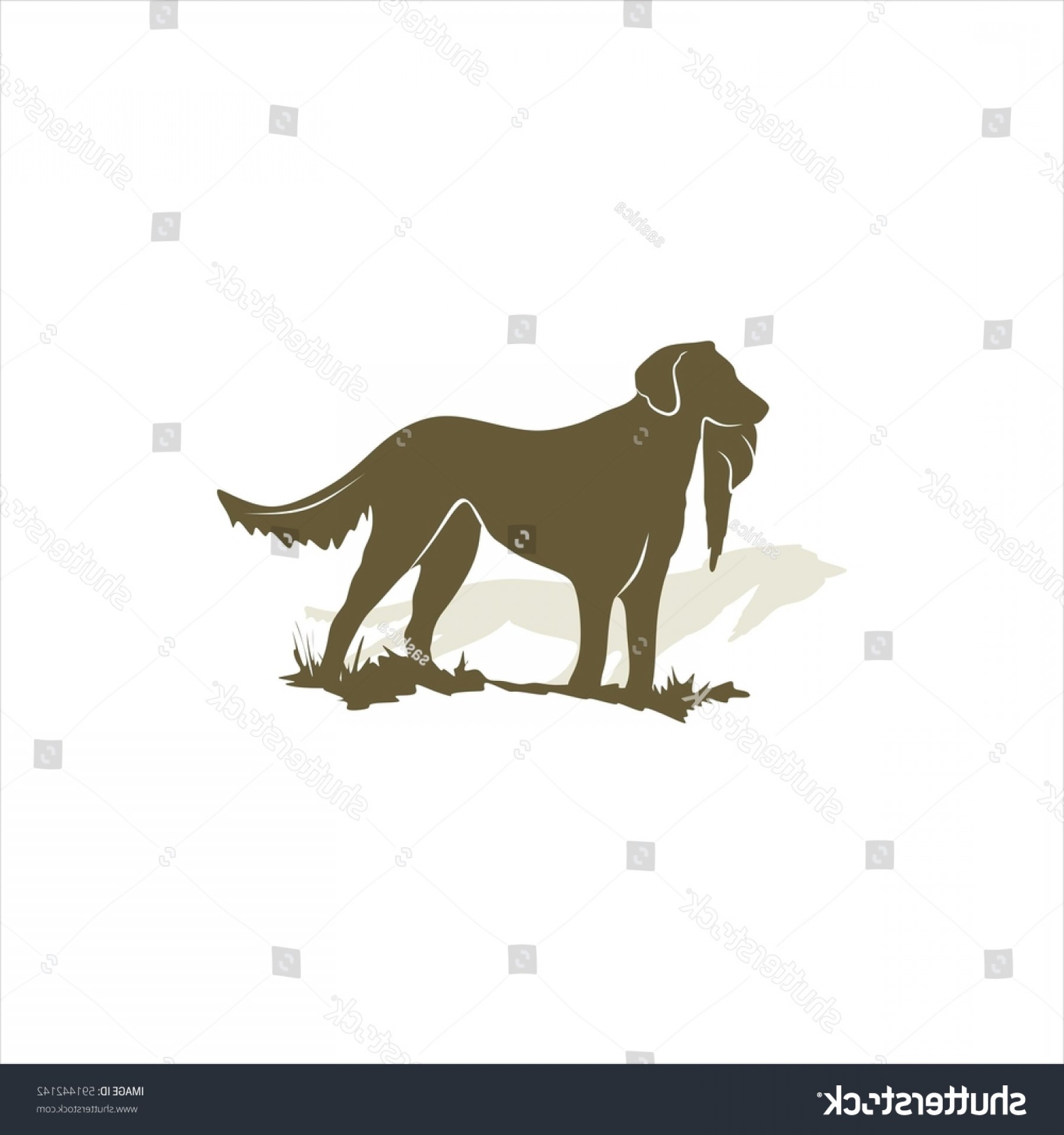 Hunting Dog Duck Vector Illustration Soidergi 1800x1920 Hunting Dog Duck Vector Illustration Soidergi