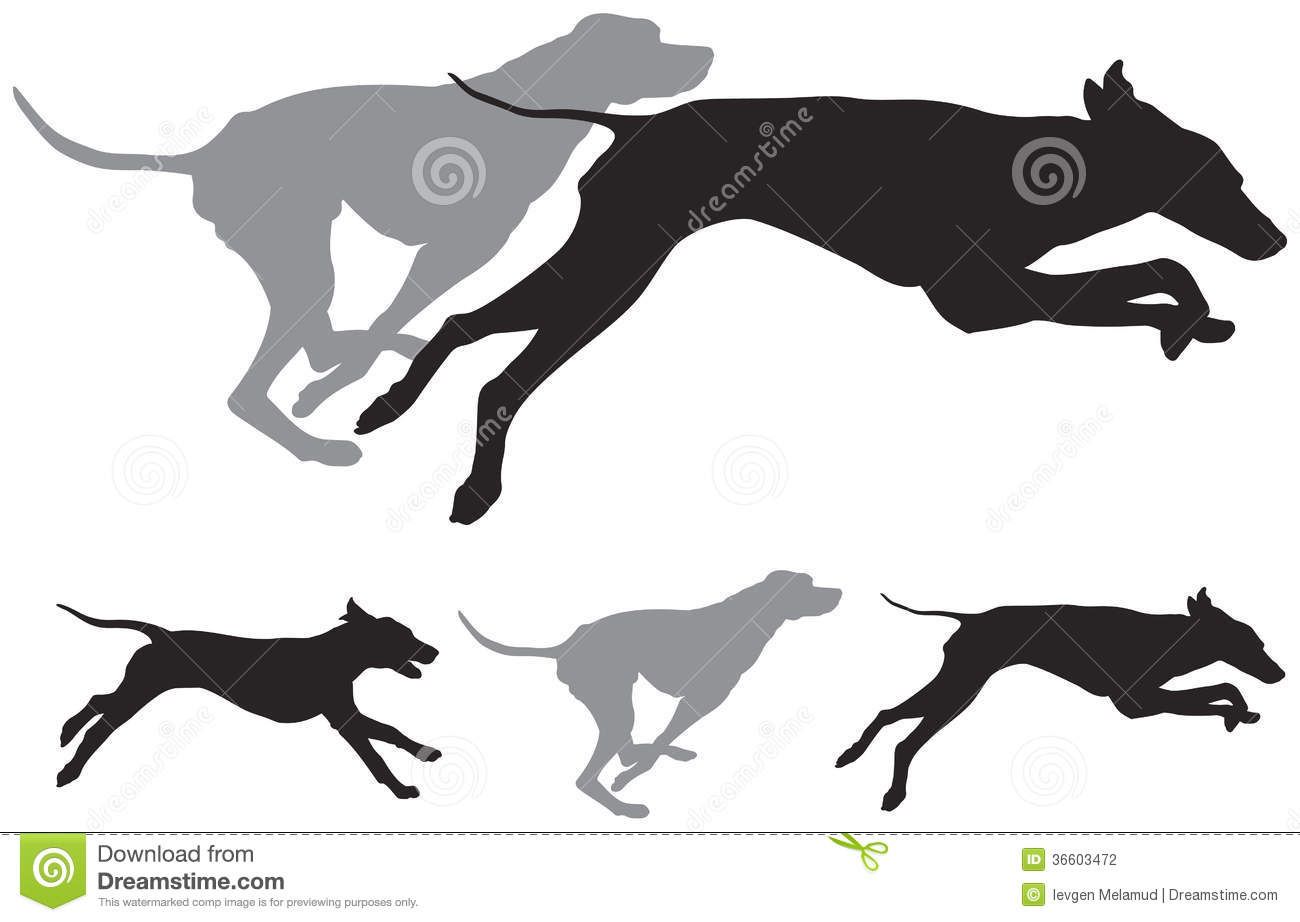 Hunting Dogs Run Vector Silhouettes Stock Vector 1300x922 Hunting Dogs Run Vector Silhouettes Stock Vector