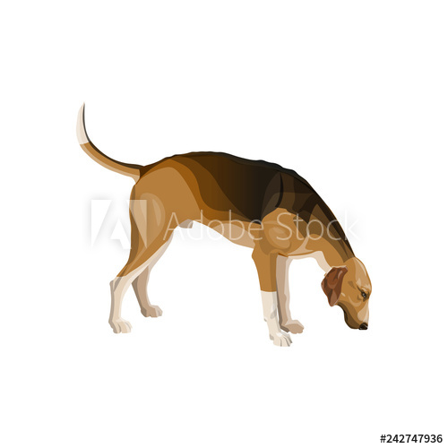 Hunting Dog Vector 500x500 Hunting Dog Vector