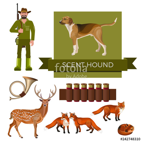 Hunting Dog Vector Stock Image And Royalty Free Vector 500x500 Hunting Dog Vector Stock Image And Royalty Free Vector