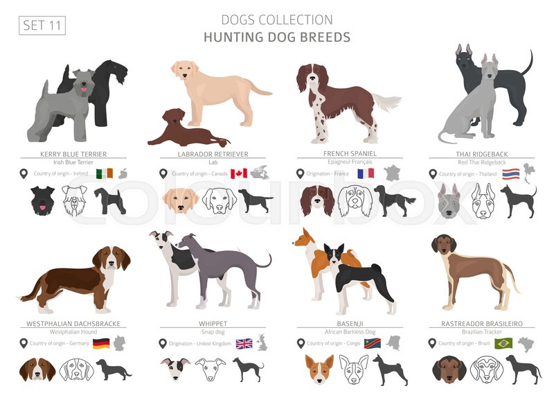 Hunting Dog Vector at Vectorified.com | Collection of Hunting Dog ...