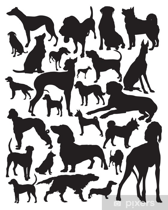 Hunting Dogs Vector Wall Mural 559x700 Hunting Dogs Vector Wall Mural