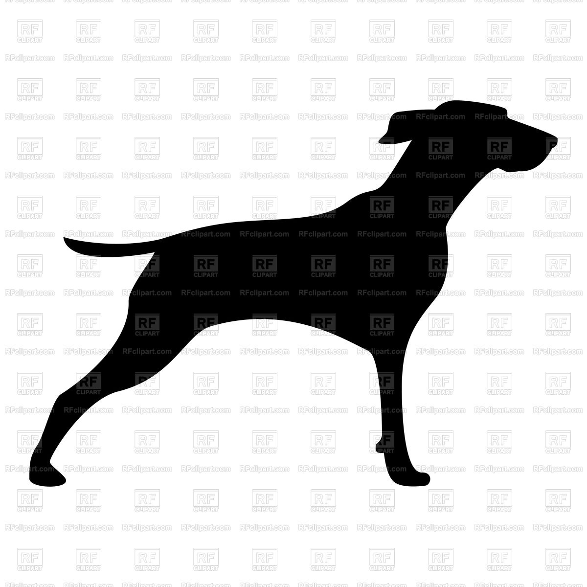 Silhouette Of Hunter Dog 1200x1200 Silhouette Of Hunter Dog
