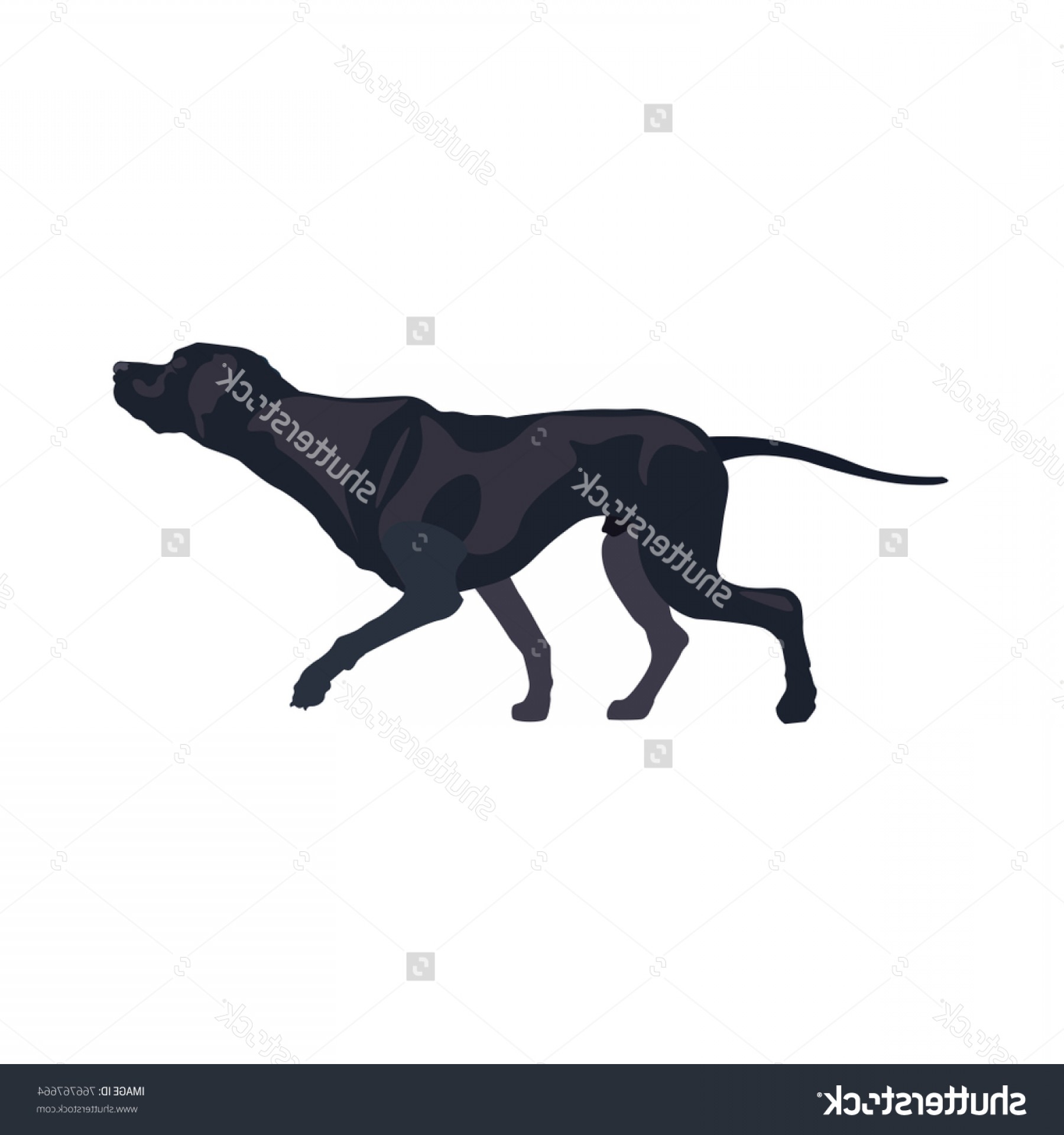 Top Bird Hunting Dog Breed Pointer Createmepink 1800x1920 Top Bird Hunting Dog Breed Pointer Createmepink