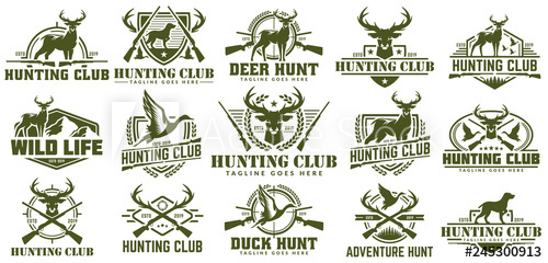 Collection Of Hunting Logo, Vector Set Of Hunt Label, Badge 500x240 Collection Of Hunting Logo, Vector Set Of Hunt Label, Badge