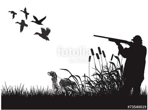 500x373 Duck Hunting Stock Image And Royalty Free Vector On Fotolia