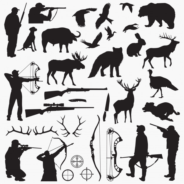 626x626 Hunting Infographics Set Vector Free Download