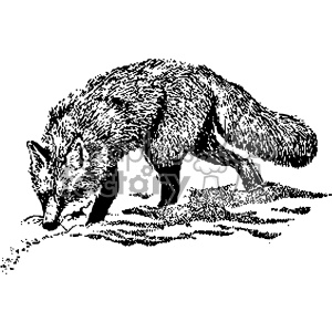 300x300 Black And White Vintage Fox Hunting Vector Vintage Vector Art