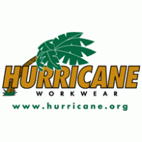 200x200 Hurricane Logo Vector