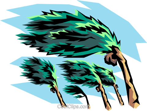 480x364 Hurricane Winds And Palm Tree Royalty Free Vector Clip Art