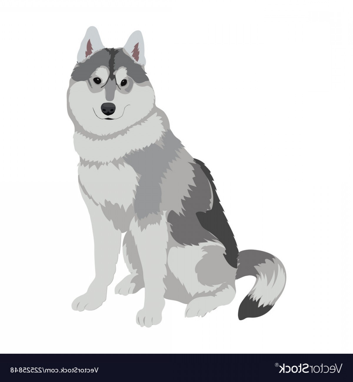 Husky Dog Sitting Isolated On White Background Vector Catchsplace 1200x1296 Husky Dog Sitting Isolated On White Background Vector Catchsplace