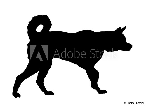 Portrait Of Siberian Husky Dog, Vector Silhouette Isolated 500x361 Portrait Of Siberian Husky Dog, Vector Silhouette Isolated