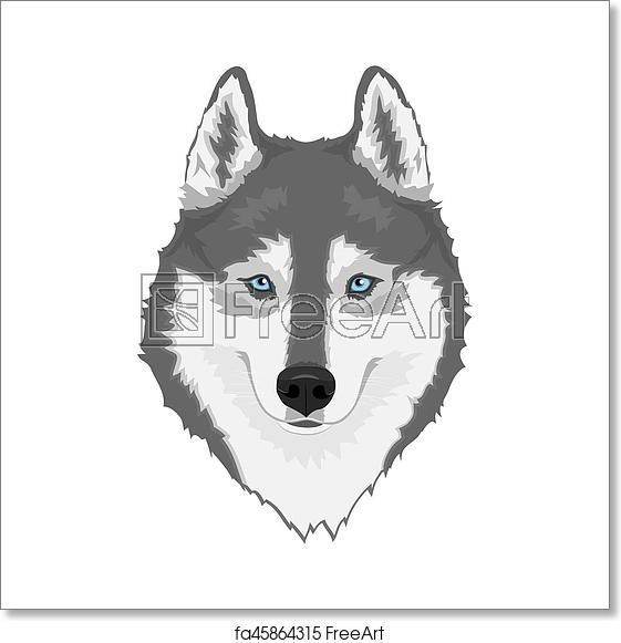 Free Art Print Of Siberian Husky Dog Gray And White Siberian 561x581 Free Art Print Of Siberian Husky Dog Gray And White Siberian