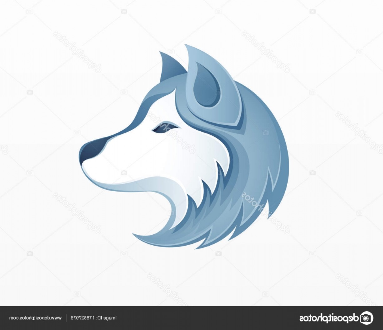 1228x1056 Safari Logo Vector Catamart