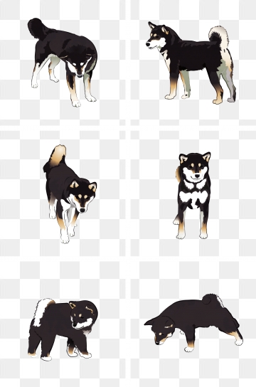 360x544 Husky Png, Vector, And Clipart With Transparent Background