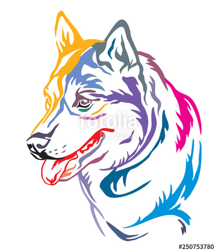429x500 Colorful Decorative Portrait Of Dog Siberian Husky Vector