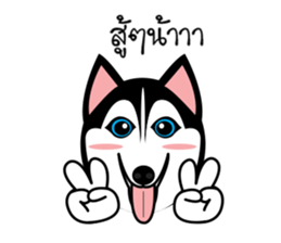 259x224 Husky Vector