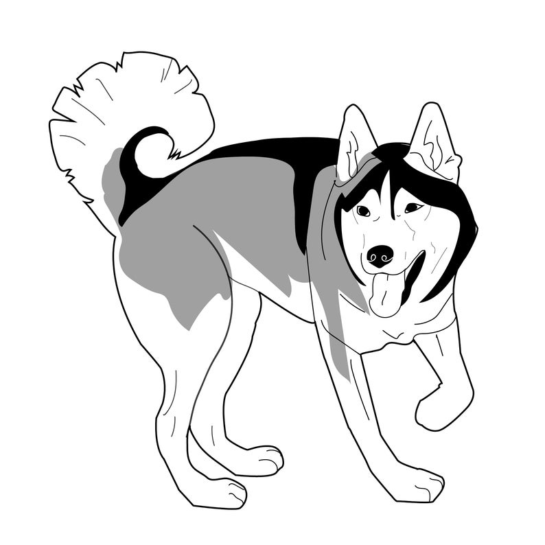 794x794 Siberian Husky Vector Dog Illustration Cute Animal Png Etsy