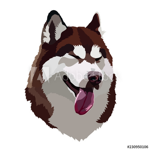 500x500 Cute Brown Husky Vector Illustration