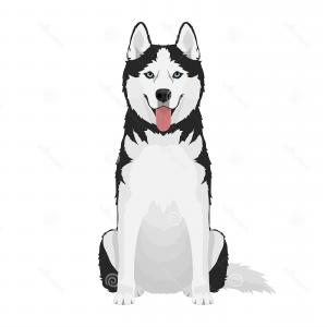 300x300 Silhouette Of A Dog Of Breed Siberian Husky Vector Catchsplace
