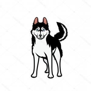 300x300 Stock Illustration Husky Dog Head Vector Graphic Team Mascot Image