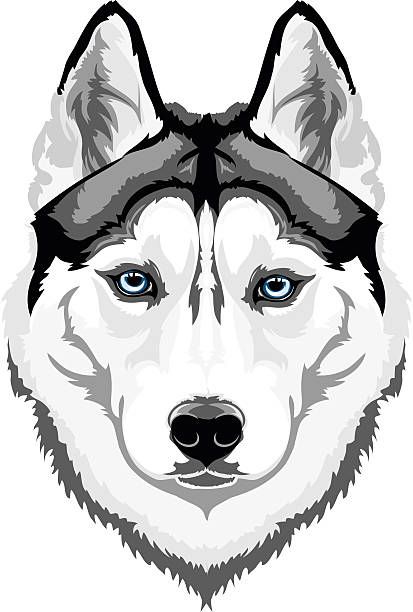 413x612 Vector Head Intelligent Dog Breed Siberian Husky Huskies