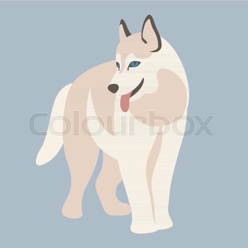 800x800 Dog Husky Vector Illustration Style Stock Vector Colourbox
