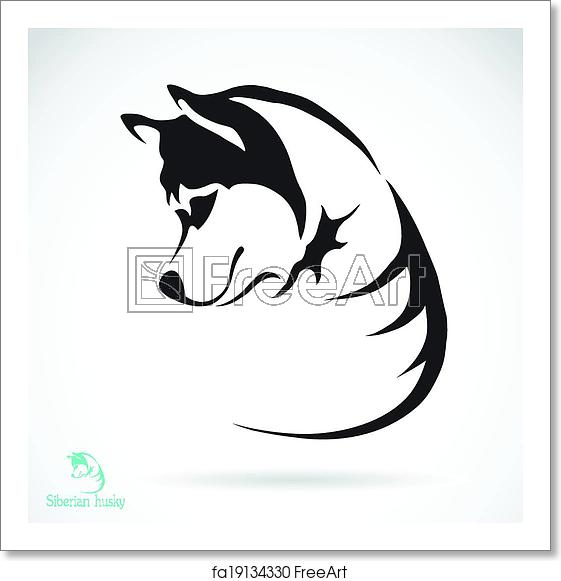 561x581 Free Art Print Of Vector Image Of A Dog Siberian Husky Vector