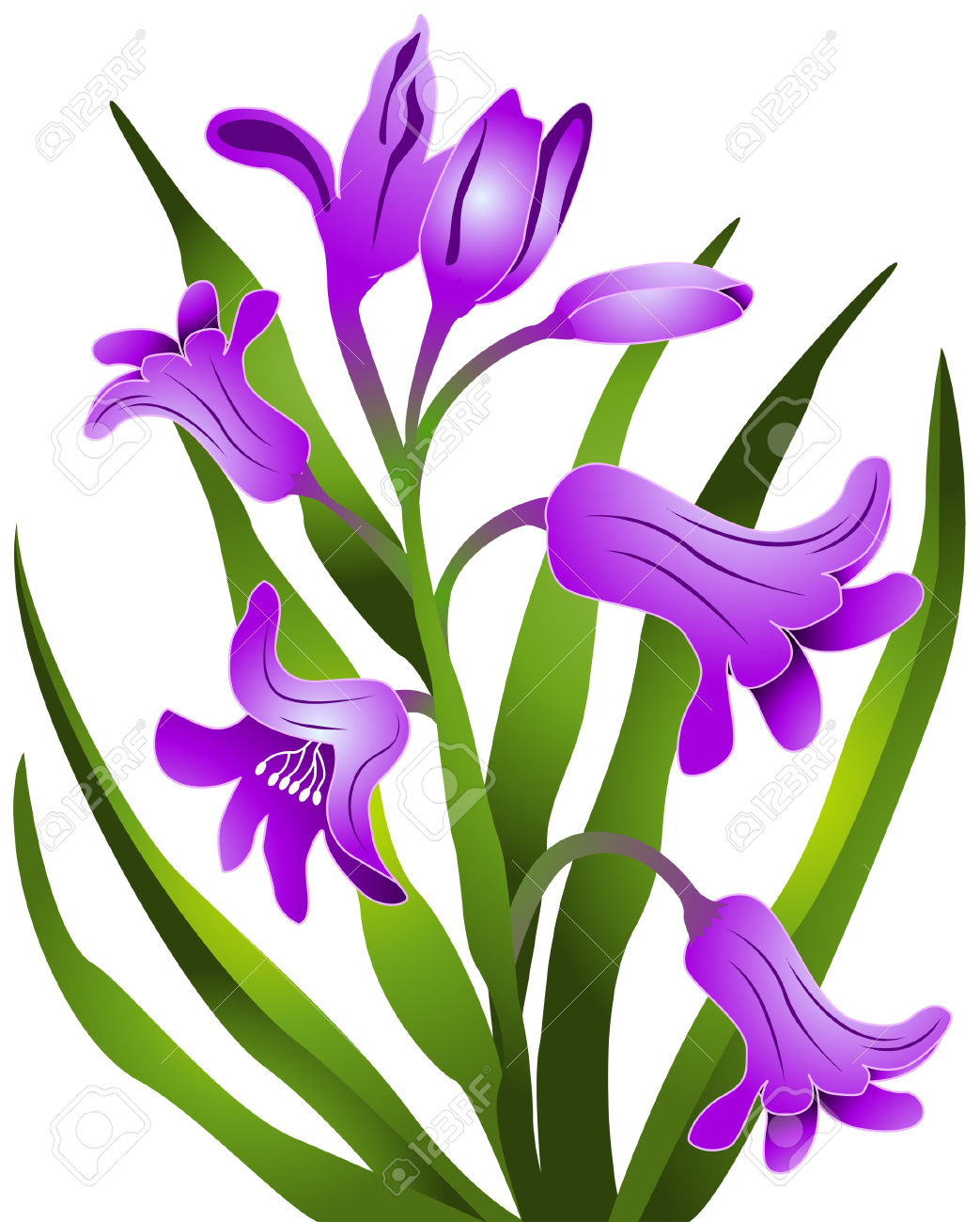 1043x1300 Hyacinth Clipart Free Cliparts Download Images On Clipground
