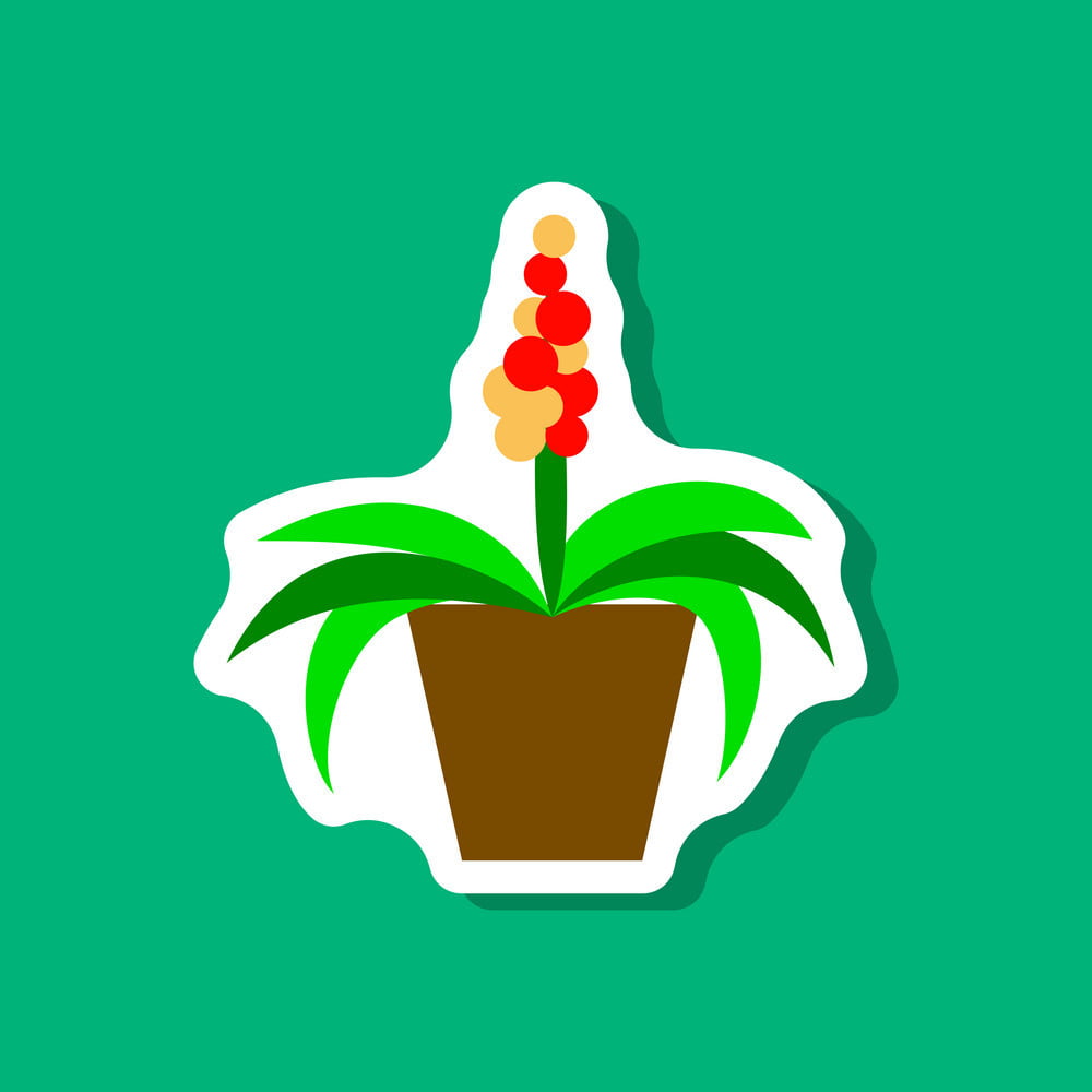 1000x1000 Paper Sticker On Stylish Background Hyacinth Vector