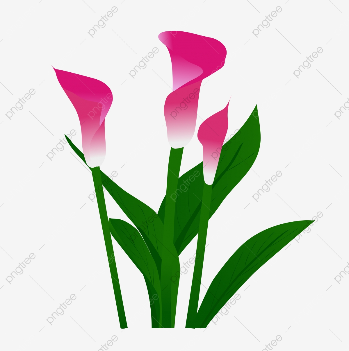 1200x1208 Vector Hyacinth, Purple, Flower Png, Flowers Png Png And Vector