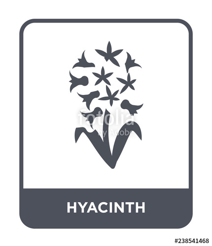 430x500 Hyacinth Icon Vector Stock Image And Royalty Free Vector