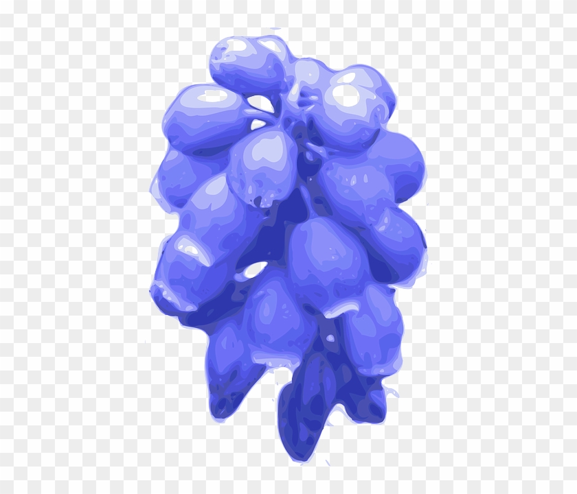 840x720 Free Vector Purple Flowers Clip Art