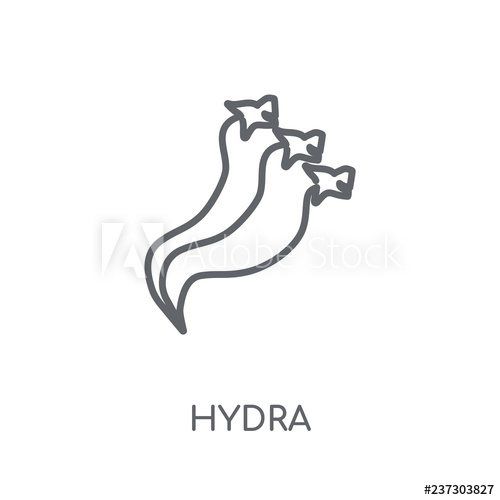 500x500 Hydra Linear Icon Modern Outline Hydra Logo Concept On White