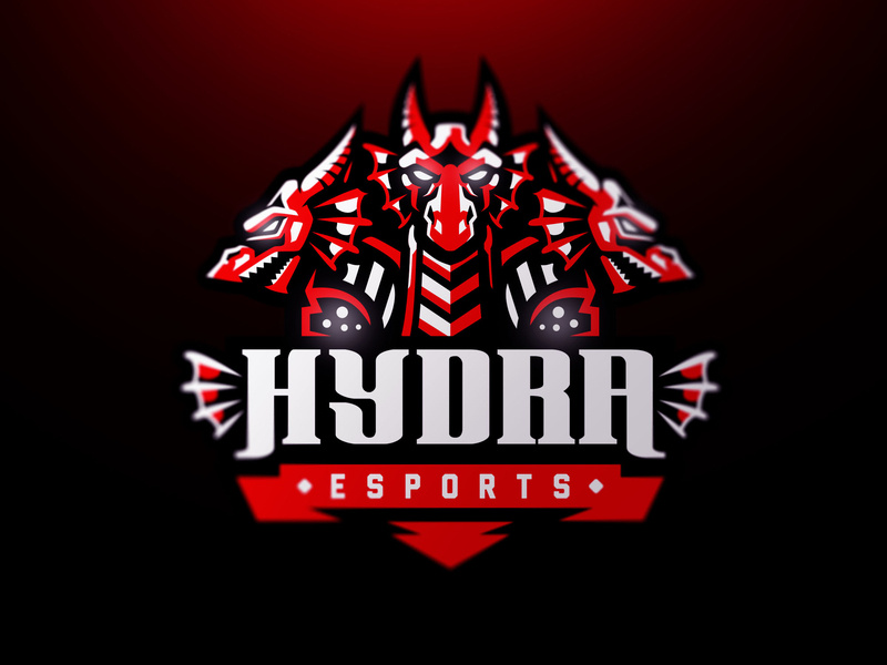800x600 Hydra Esports