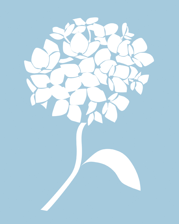 576x720 Hydrangea Drawing Vector Blue Hydrangea Fine Art Print